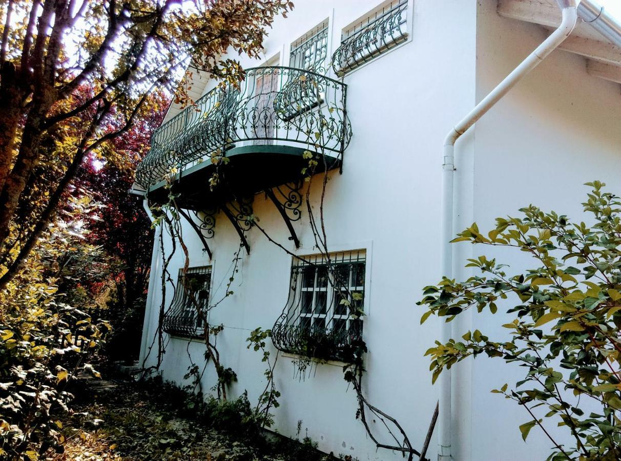 Fesztivál Nyaralóház Zamárdi Exterior foto